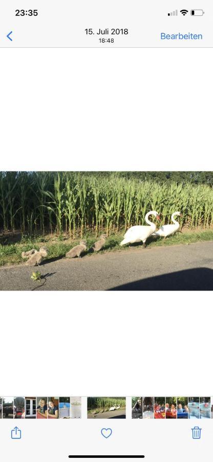 Labud 20 Am Ploener See In Bosau Zewnętrze zdjęcie